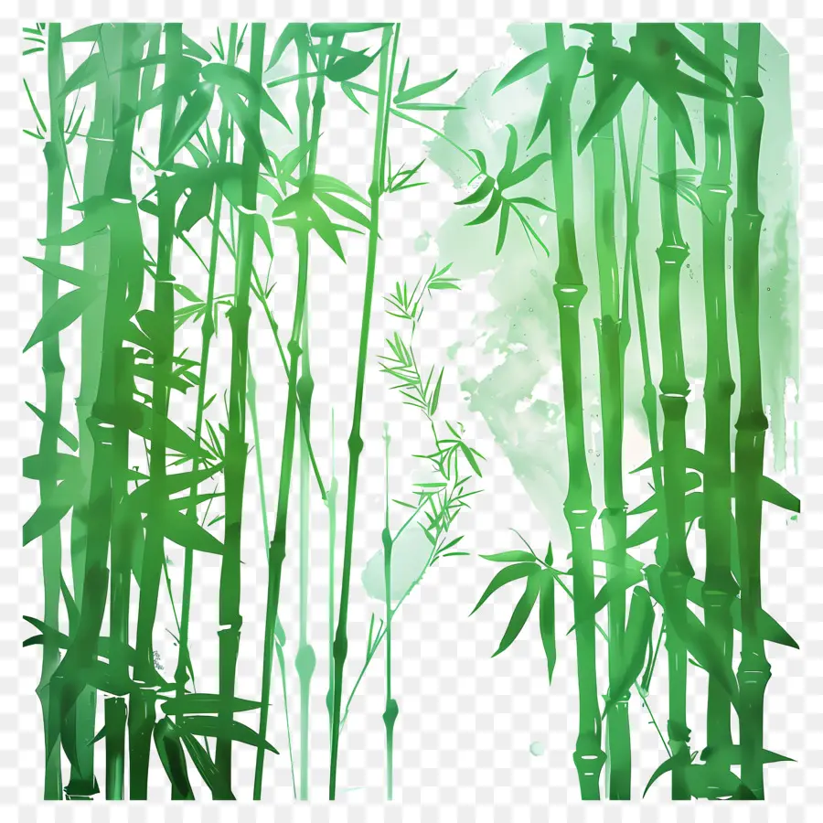 Bosque De Bambú，árboles De Bambú PNG