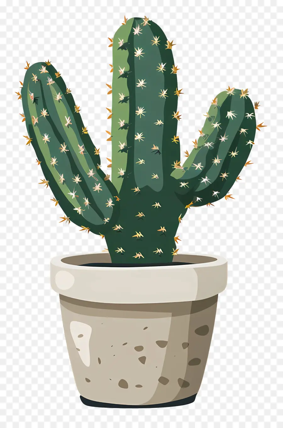 Cactus，Plantador De Cerámica PNG