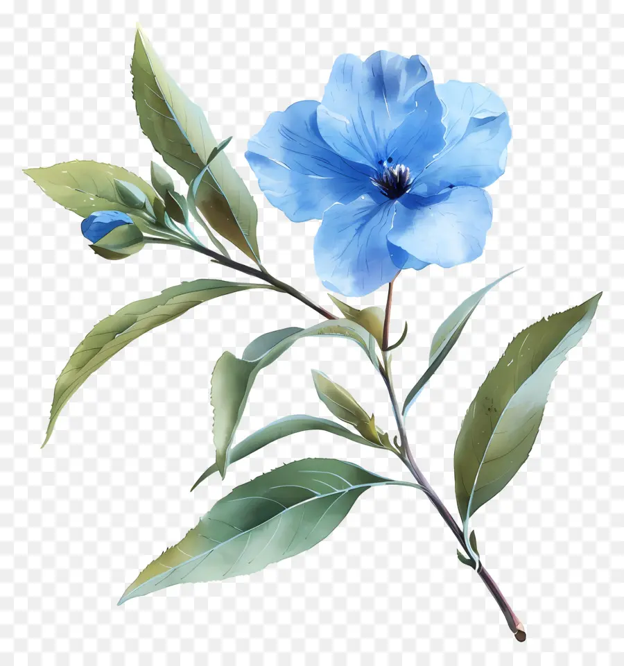 Flores De Acuarela，Flores Azules PNG