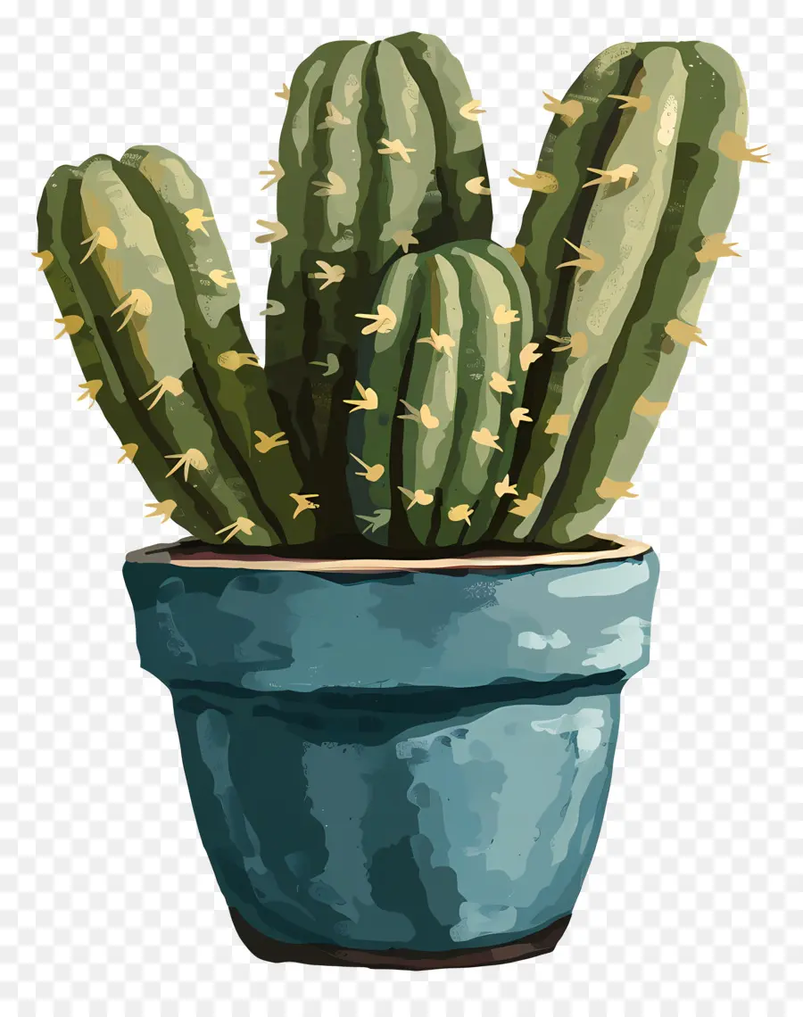 Cactus，Plantas De Cactus PNG
