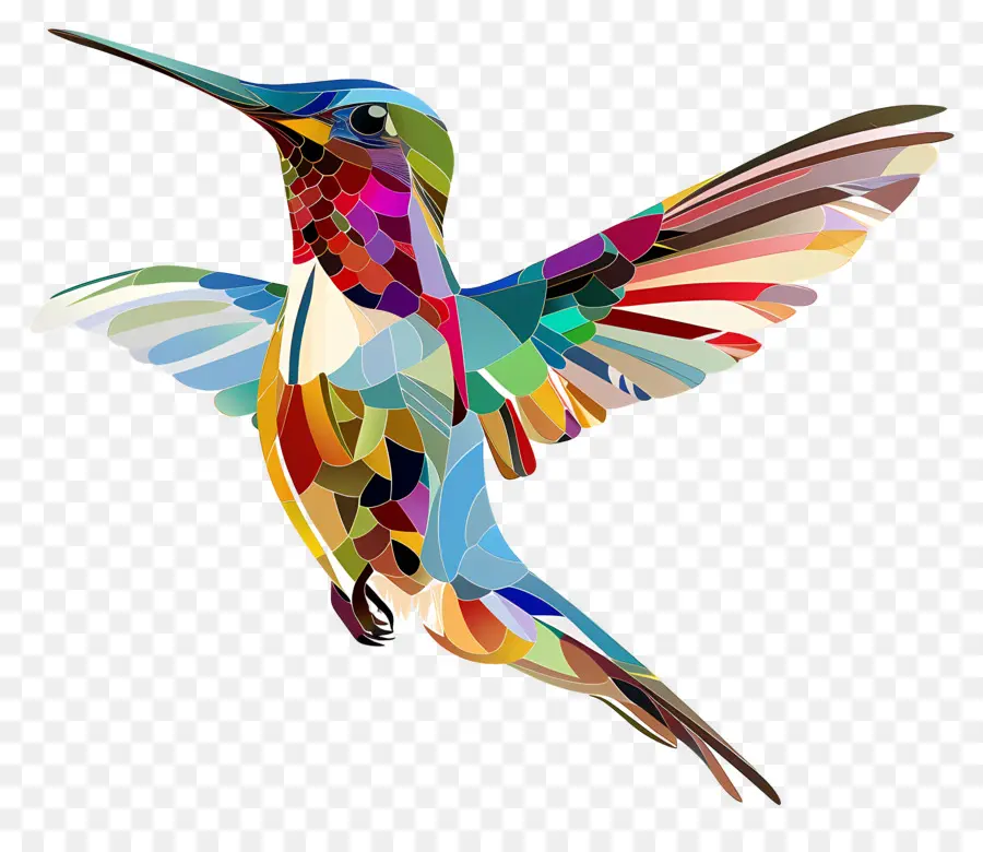 Colibrí，Colibrí Colorido PNG