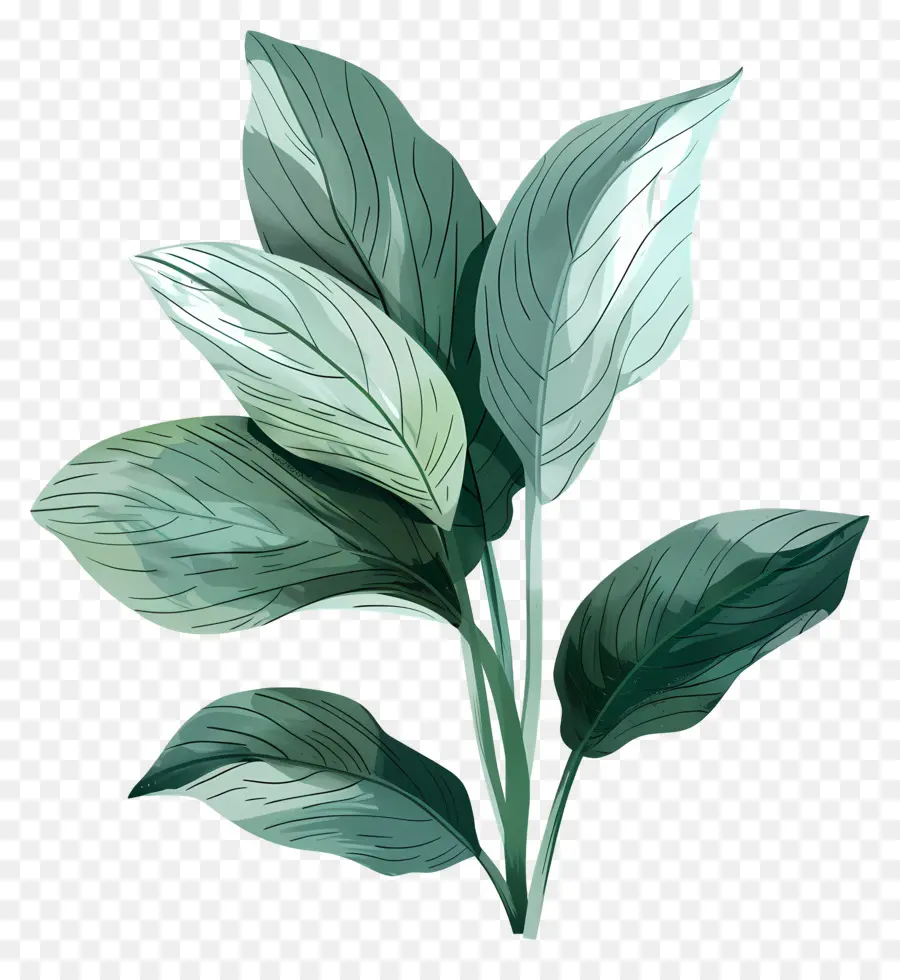 De Hojas De La Planta，Hojas Verdes PNG