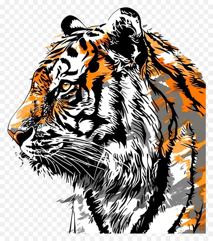 Tigre，Gato Salvaje PNG
