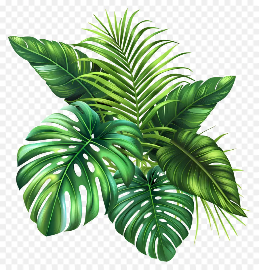 Hojas Tropicales Exóticas，Planta De Hoja Verde PNG