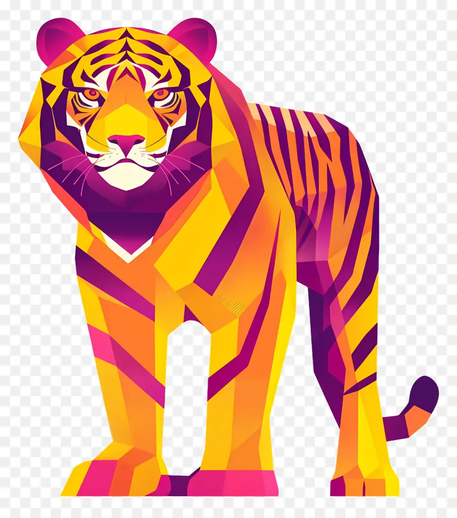 Tigre，Colorido PNG