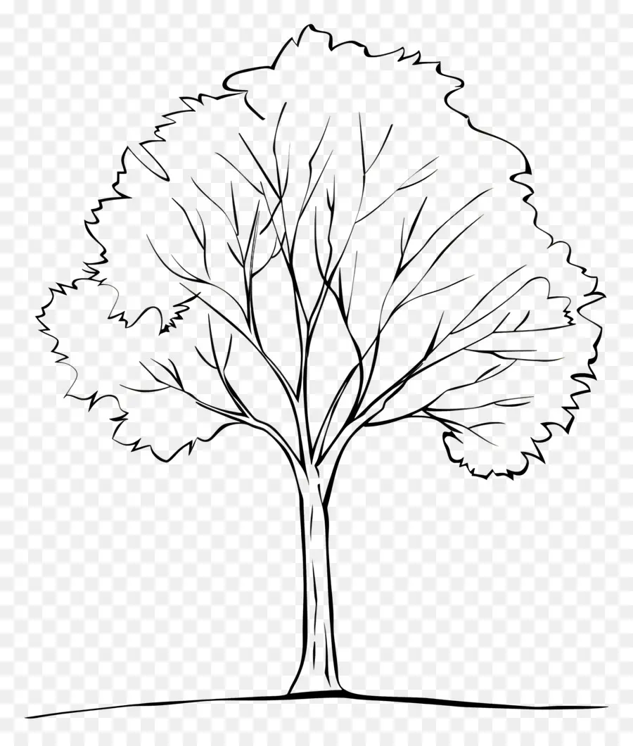 Árbol，Árboles PNG