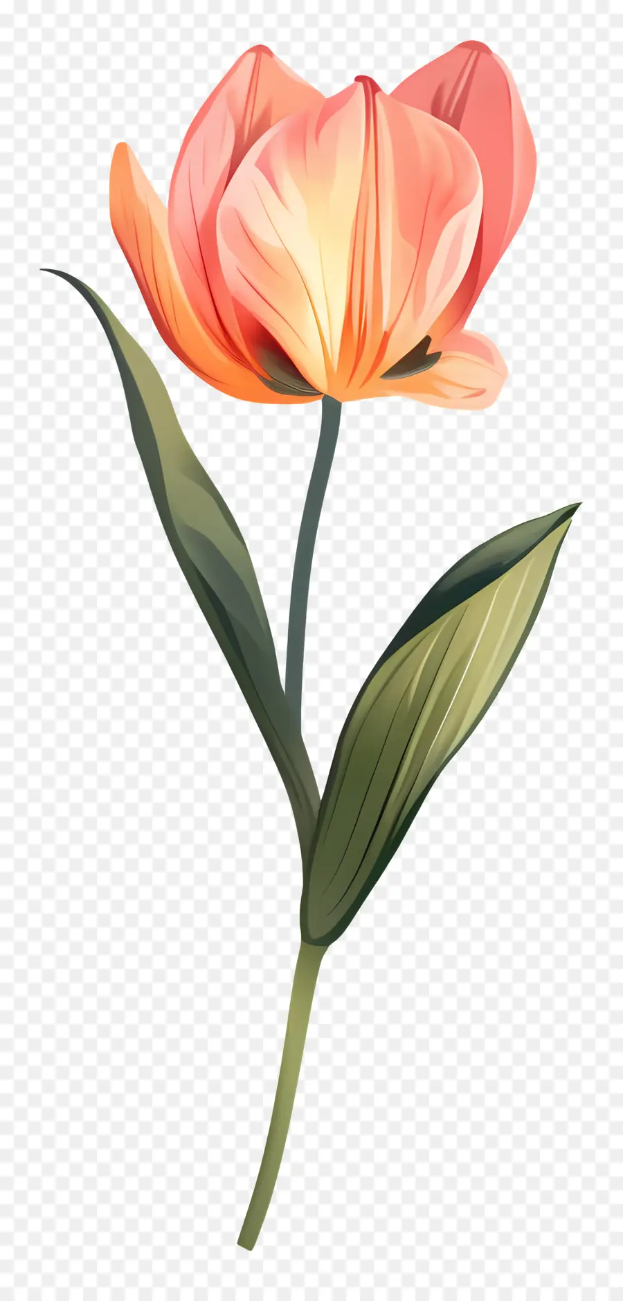 Flor，Tulipanes De Color Rosa PNG