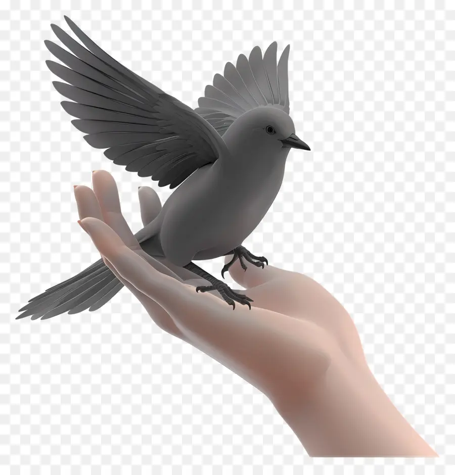 Manos，Pájaro En Mano PNG