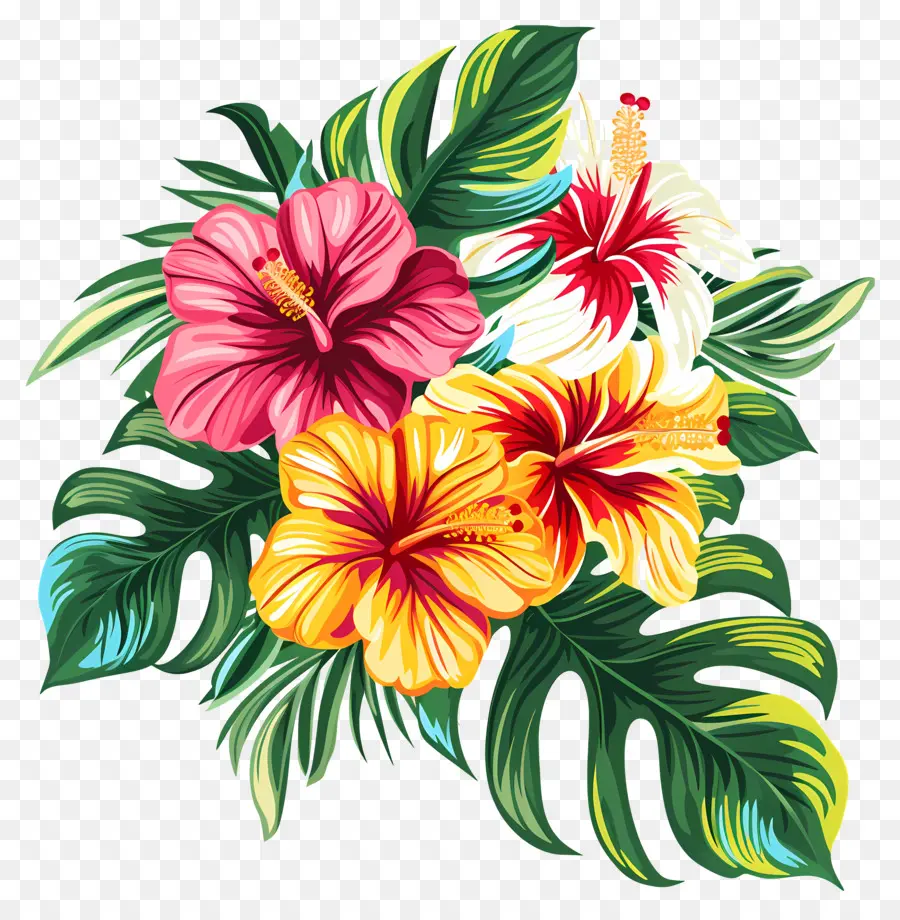 Flores Tropicales Hawaianas，Hibisco PNG