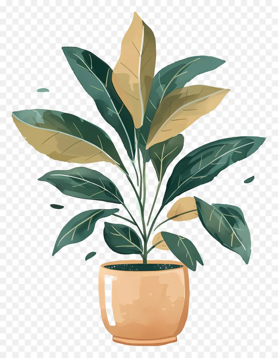 Planta De Interior，Planta En Maceta PNG