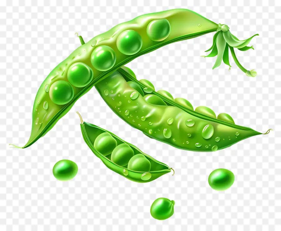 Peas，Guisantes Verdes PNG