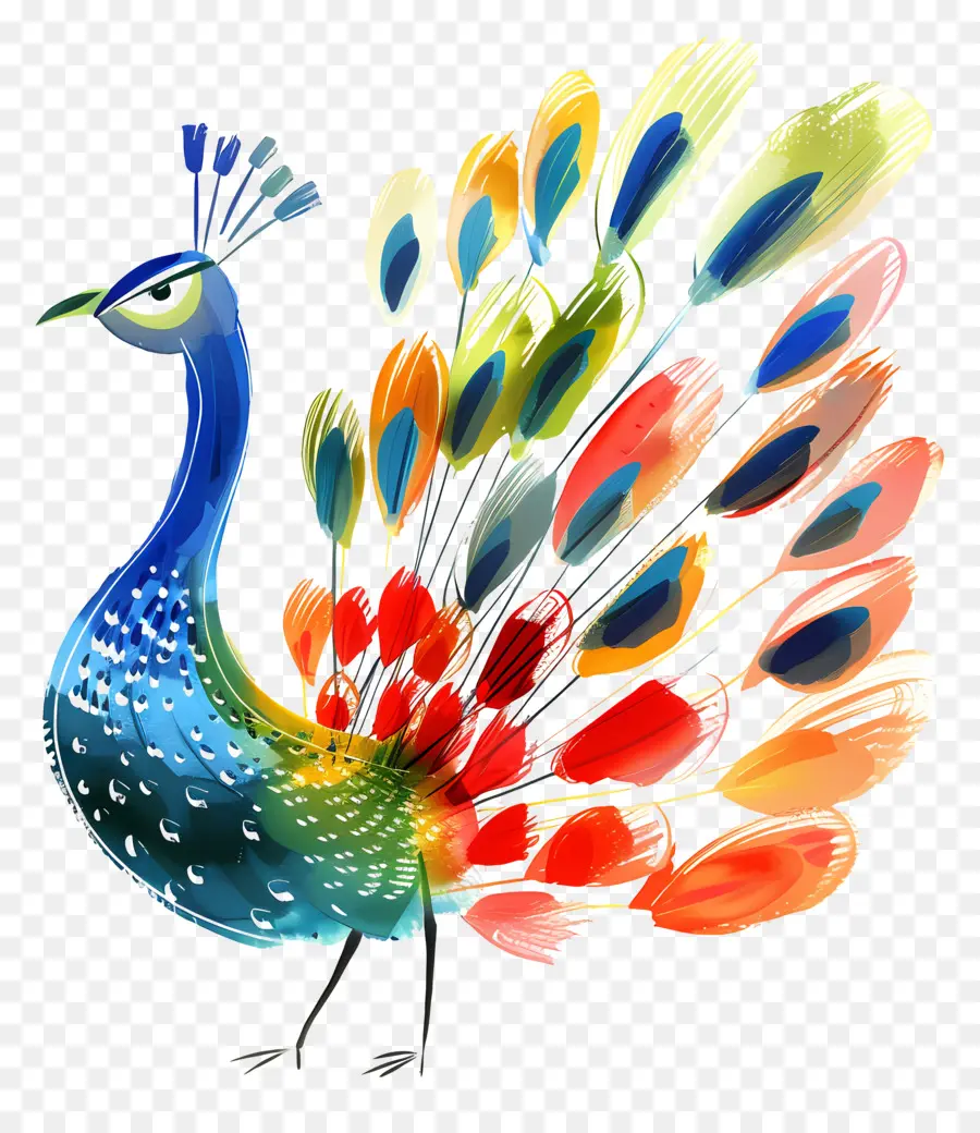 Pavo Real，Colorido PNG