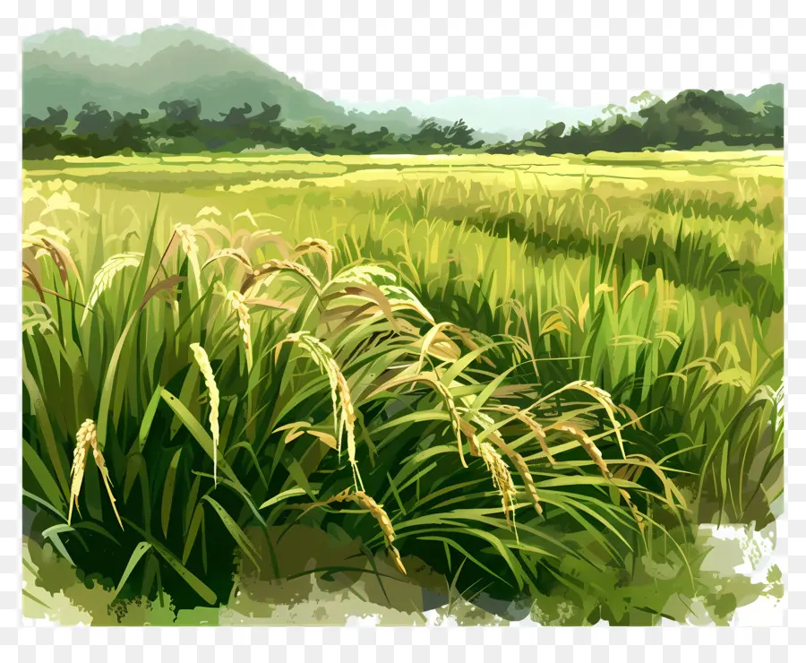 Campo De Arroz，Pintura De Paisaje De Campo PNG