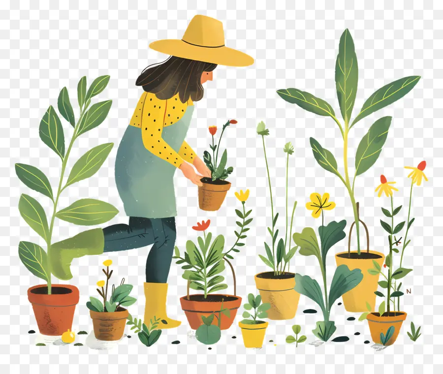 Jardinería，Las Plantas En Maceta PNG