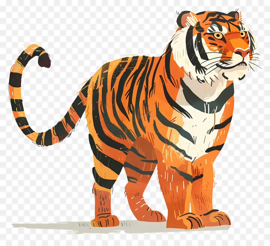 Tigre，Cartoon Tiger PNG