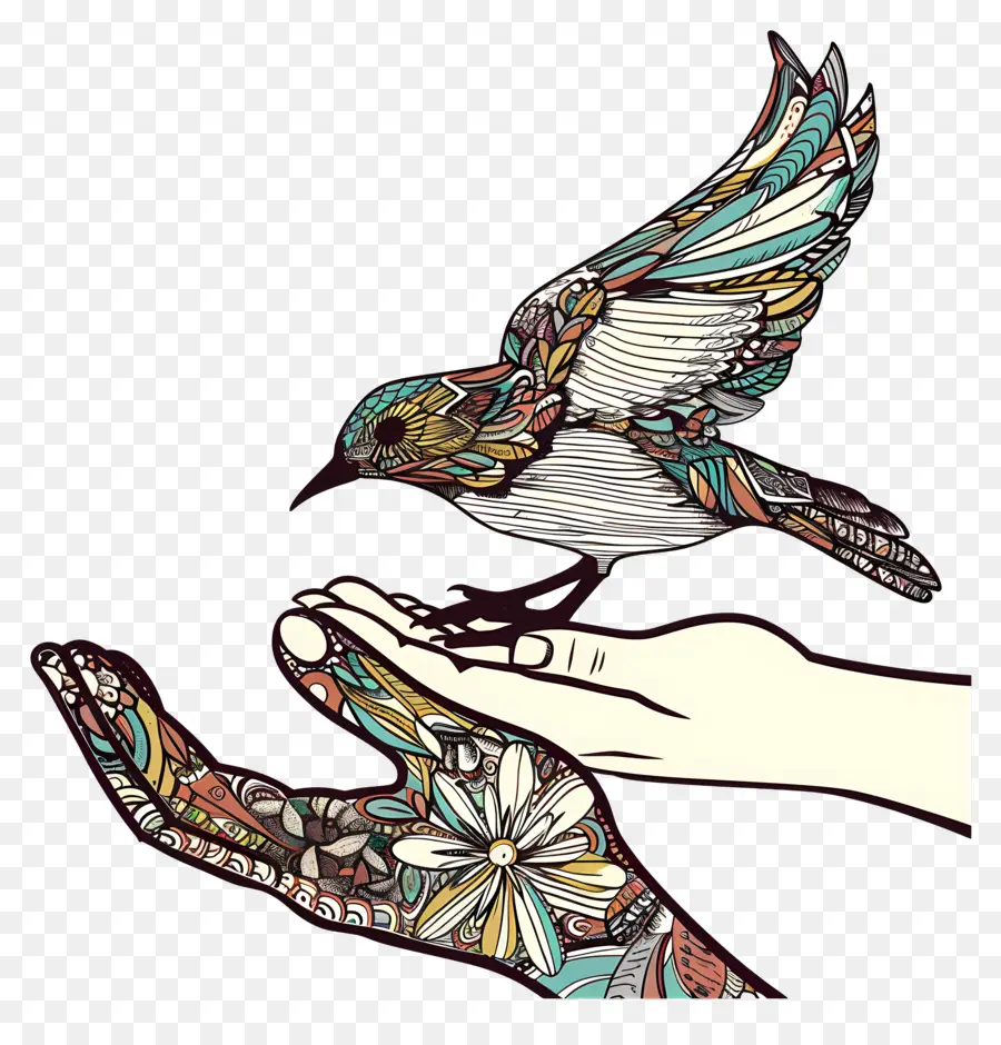 Manos，Aves PNG