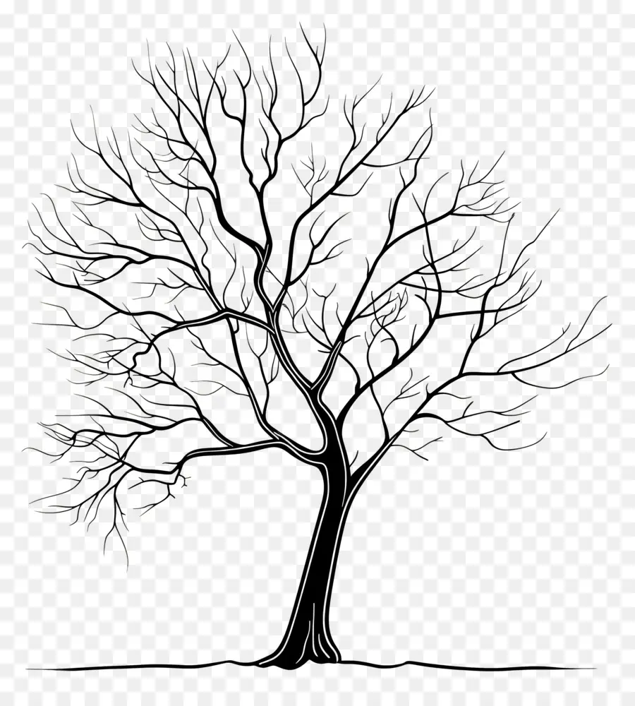 Árbol，Silueta De árbol PNG