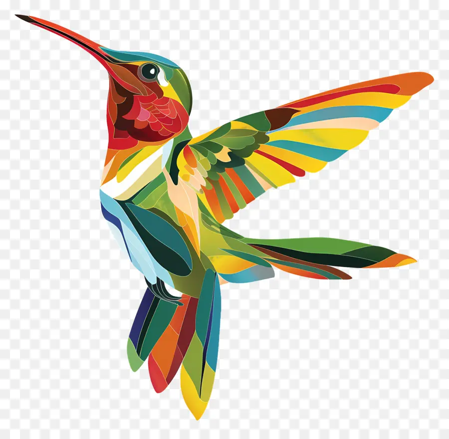 Colibrí，Vuelo PNG