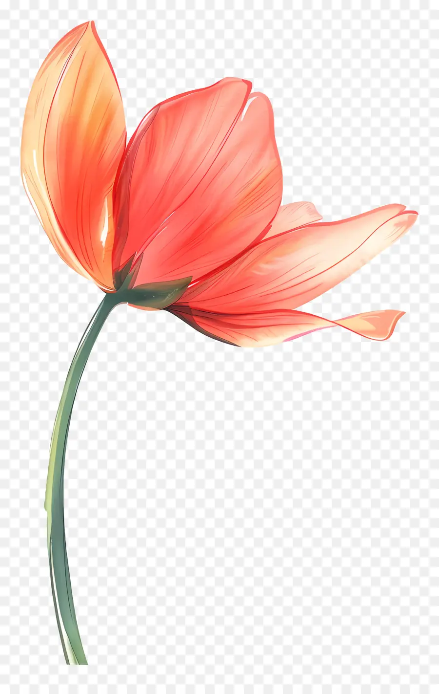 Flor，Espiral PNG