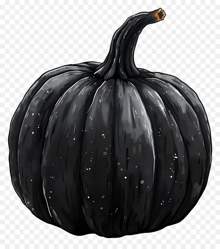 Calabaza，Calabaza Negra PNG