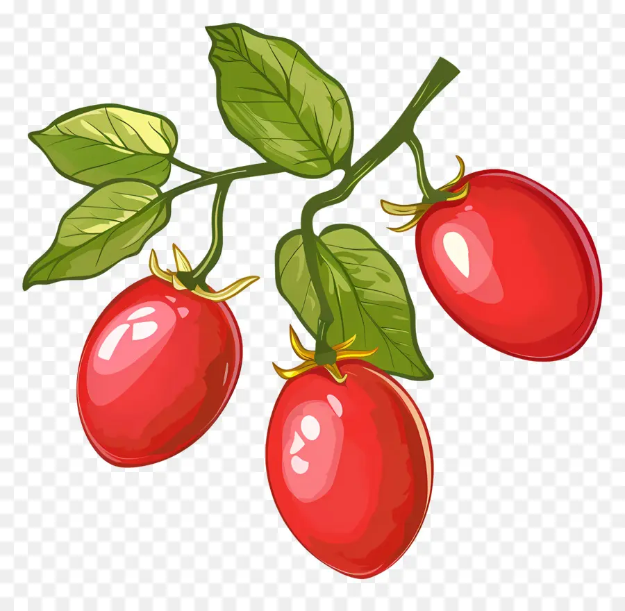 Tomate Cherry，Tomates Cherry PNG