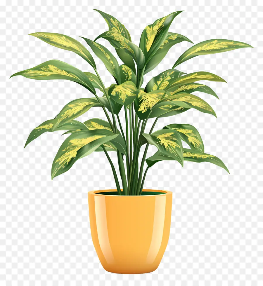 Planta De Interior，Planta En Maceta PNG