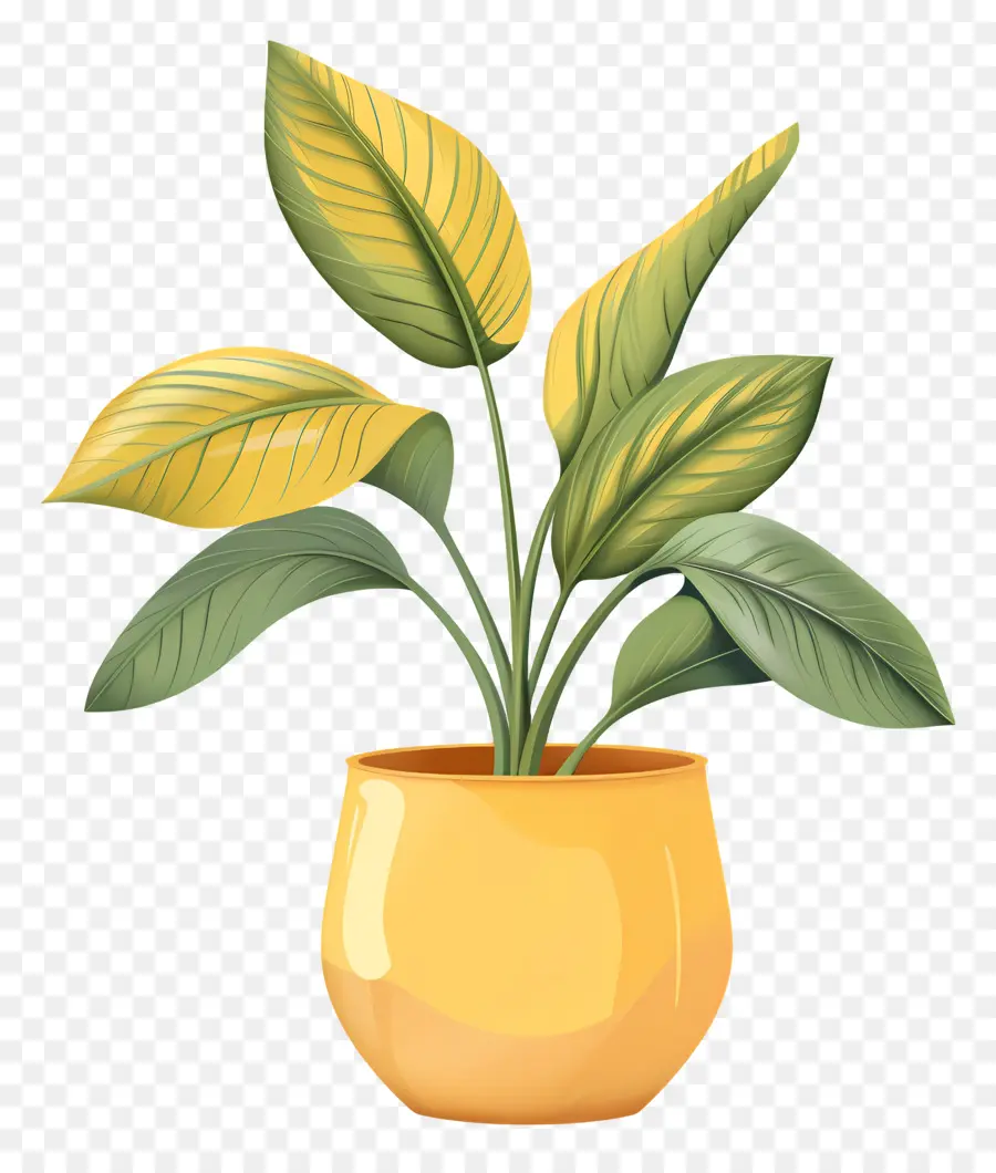 Olla Amarilla，Planta En Maceta PNG