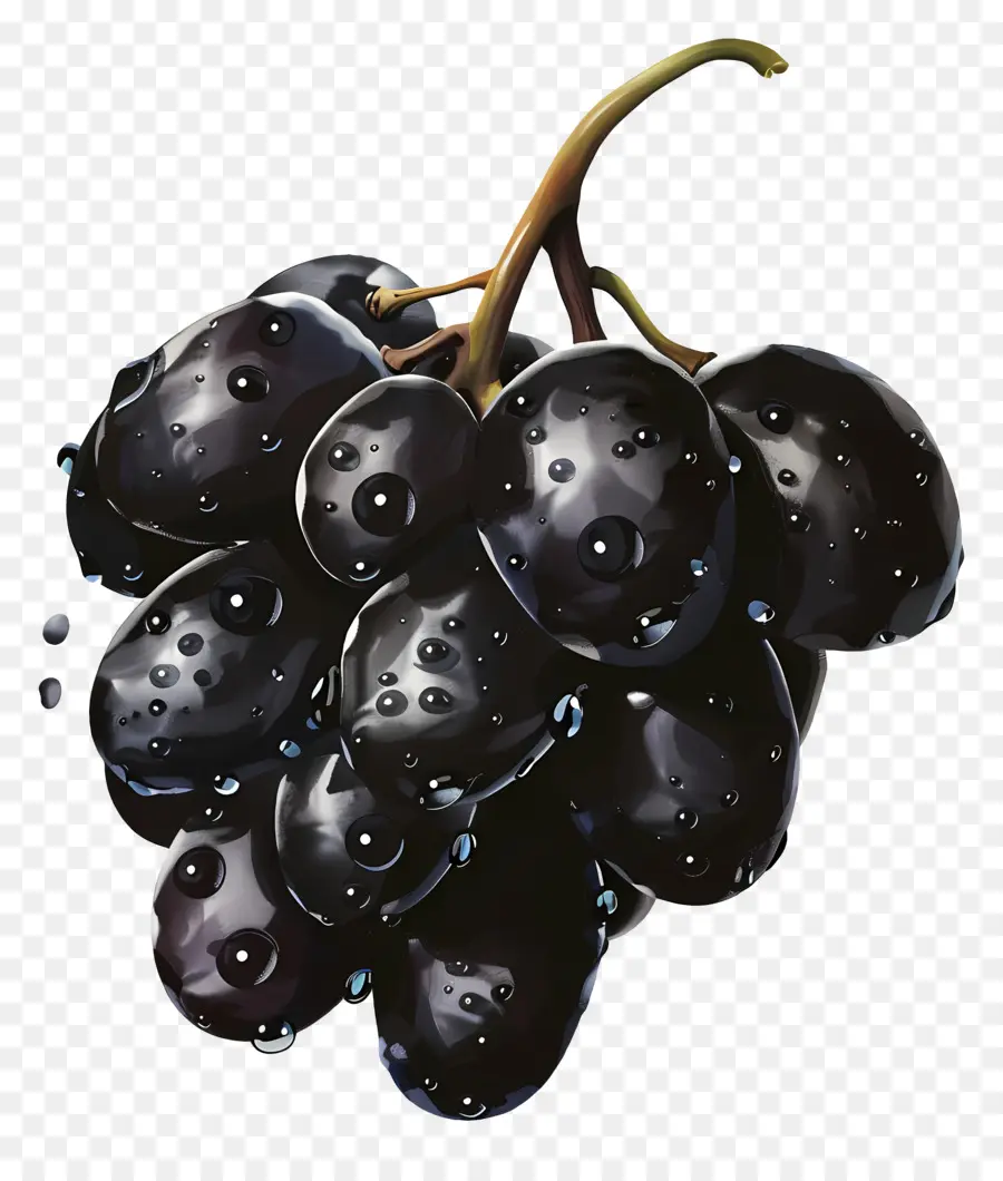 Las Uvas，Uva Negra PNG