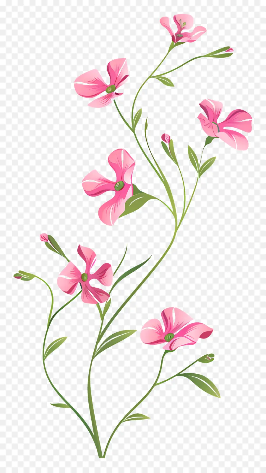 Flores De Color Rosa，Ramo PNG