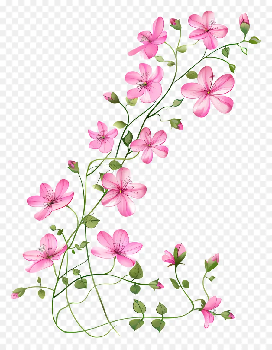 Flores De Color Rosa，Ramo PNG