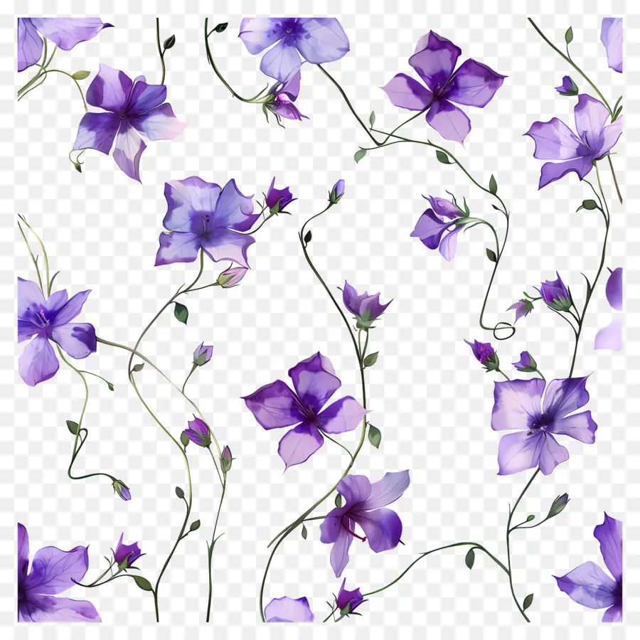 Flores De Color Púrpura，Vines PNG