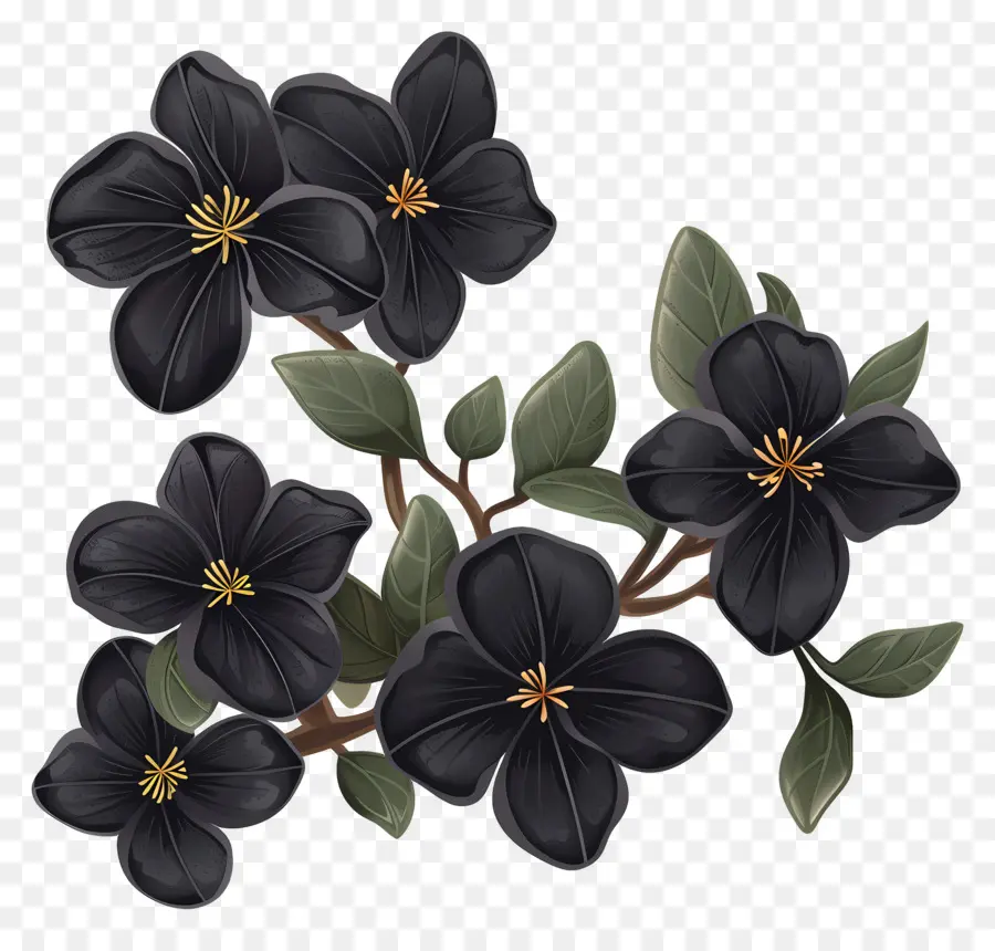 La Verdolaga，Flores Negras PNG