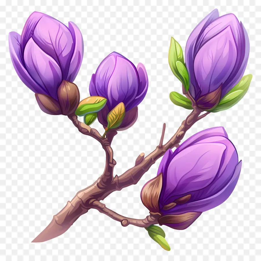 Flores De Color Púrpura，Flor De Magnolia Púrpura PNG