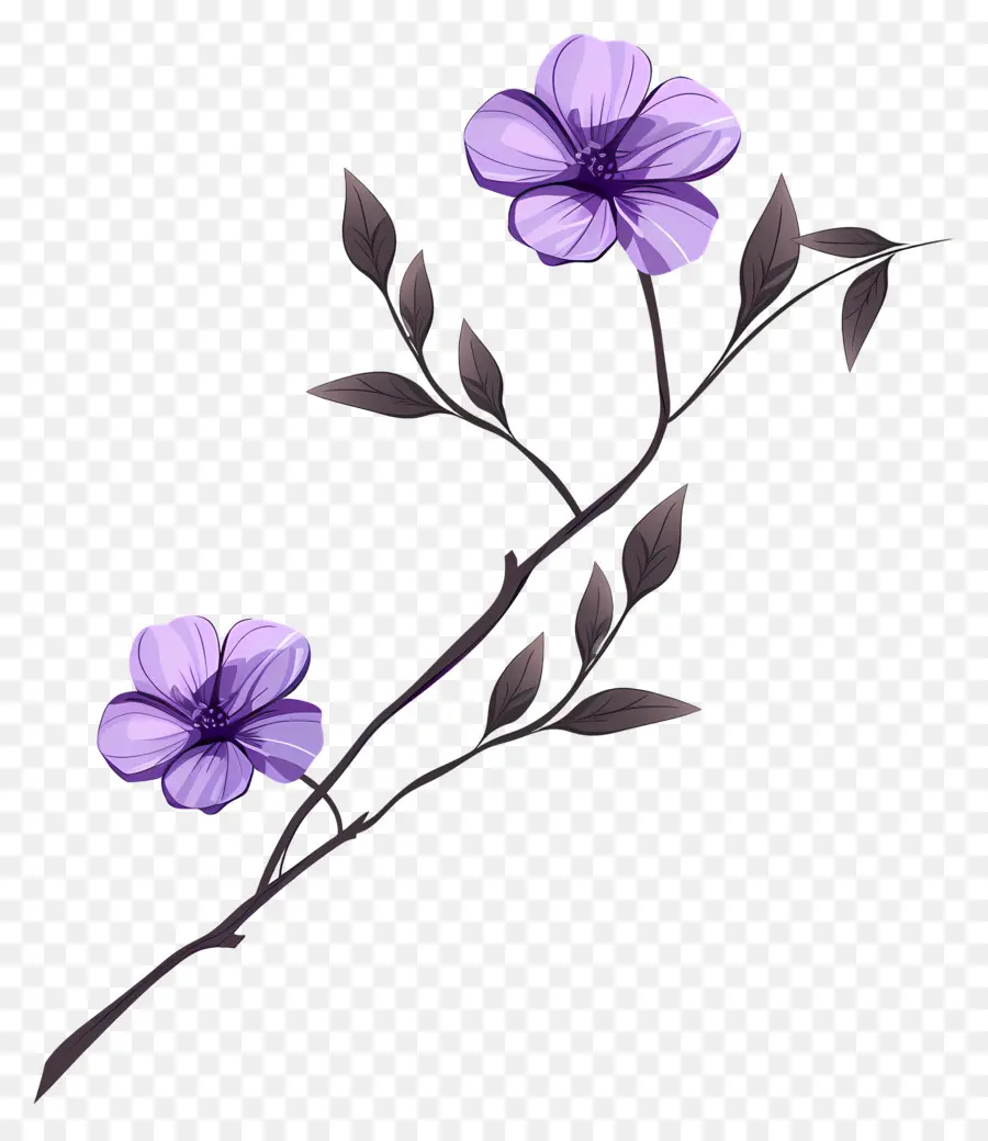 Flores De Color Púrpura，Flor Morada PNG