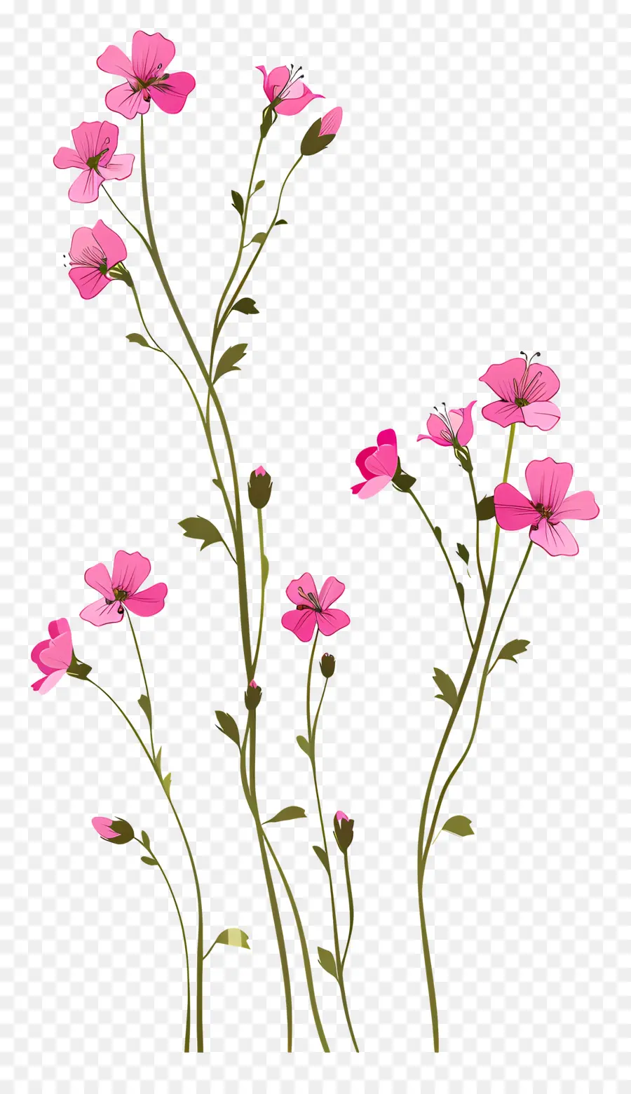 Flores De Color Rosa，Primer Plano PNG