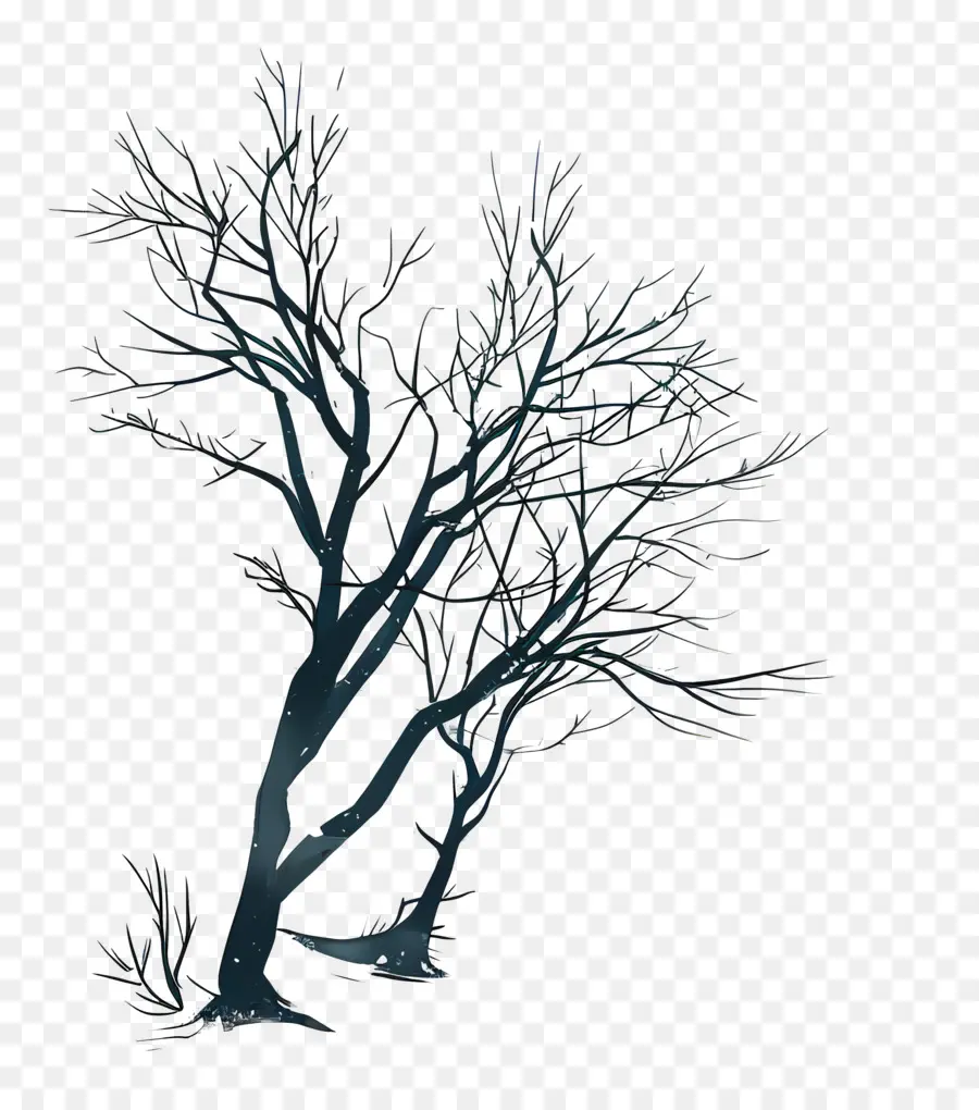 Invierno Frio，árbol Desnudo PNG