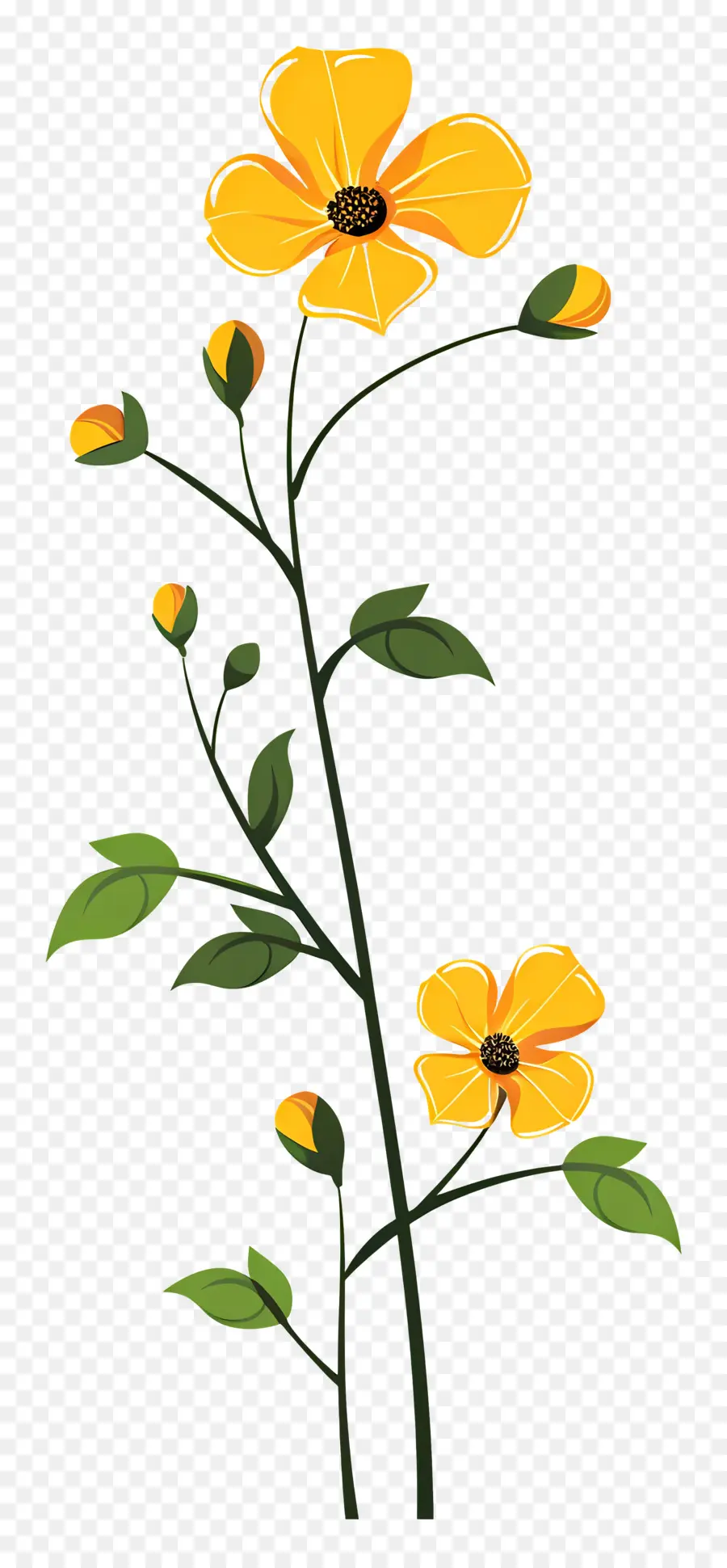 Flores Amarillas，Planta PNG