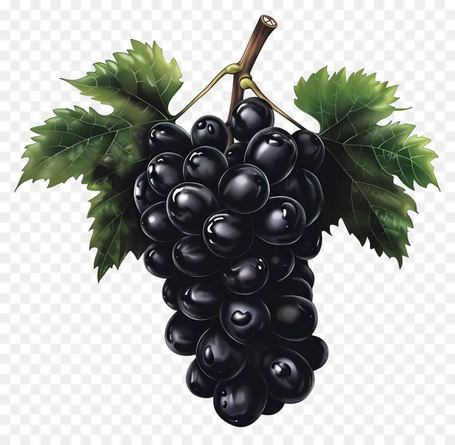 Las Uvas，Las Uvas Negras PNG