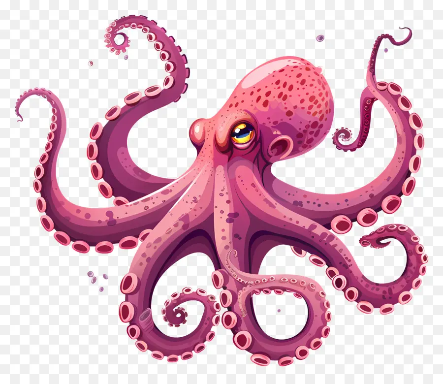 Pulpo，Pulpo Rosa PNG