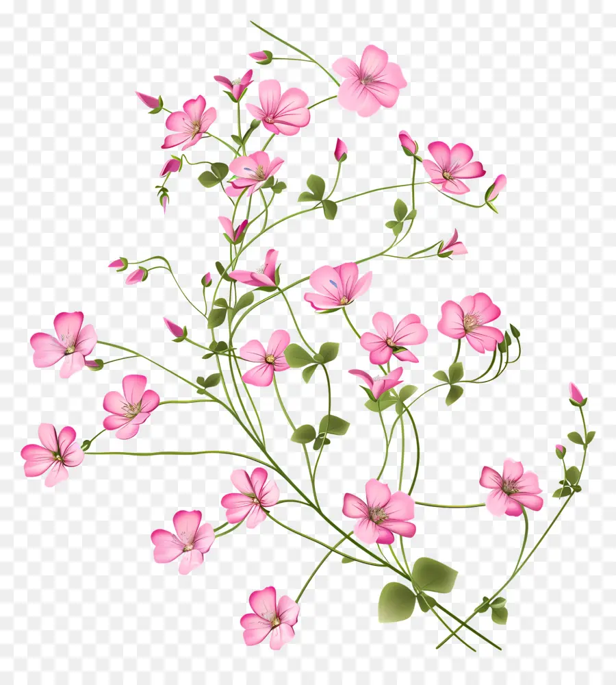 Flores De Color Rosa，Flores PNG