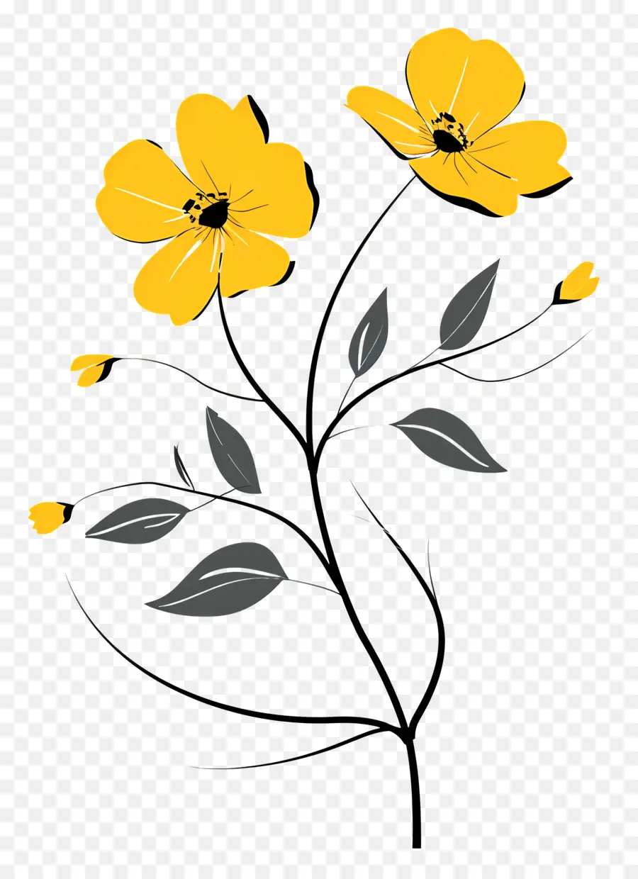 Flores Amarillas，Flor PNG