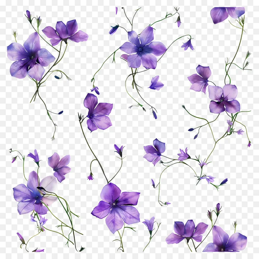 Flores De Color Púrpura，Pintura A La Acuarela PNG