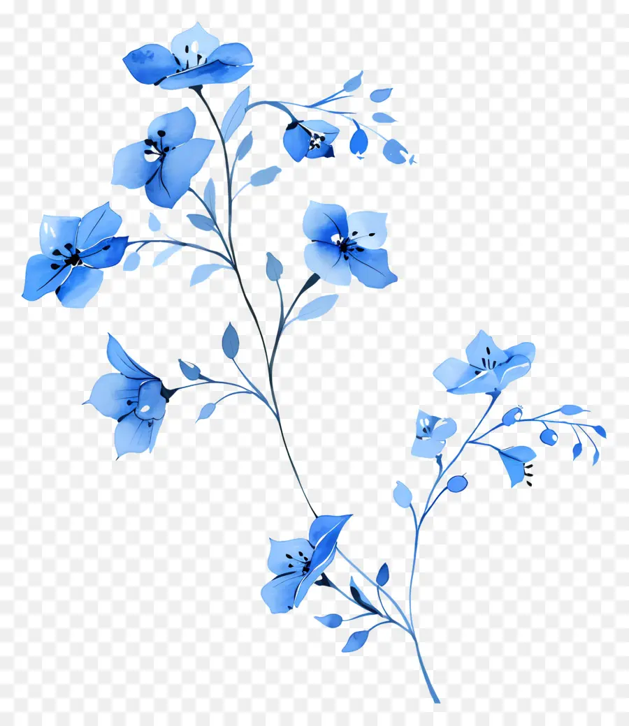 Flores Azules，Flores Moradas PNG