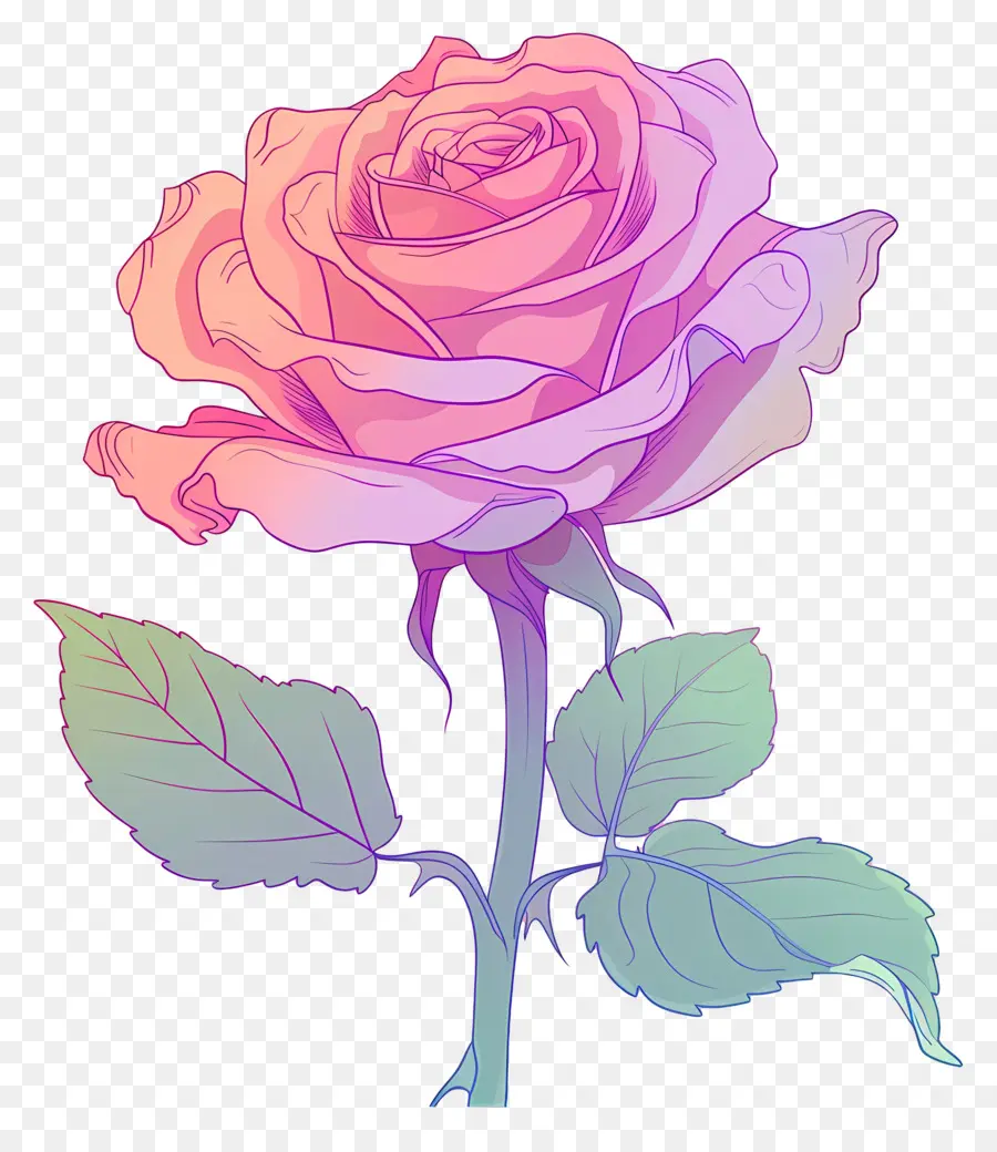 Rosa，Rosa Rosa PNG