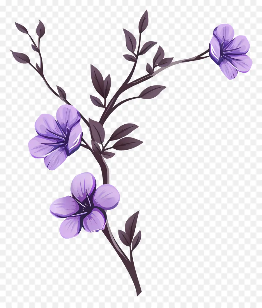 Flores De Color Púrpura，Ramas PNG