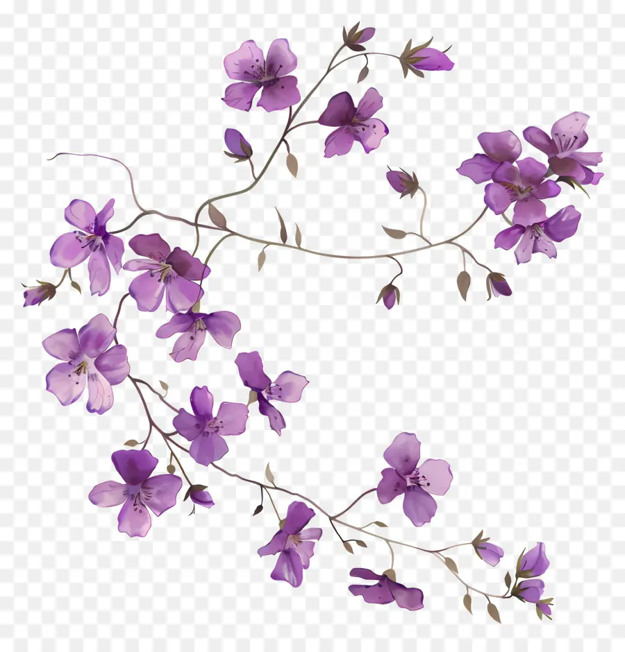 Flores De Color Púrpura，Flores De Color Rosa PNG