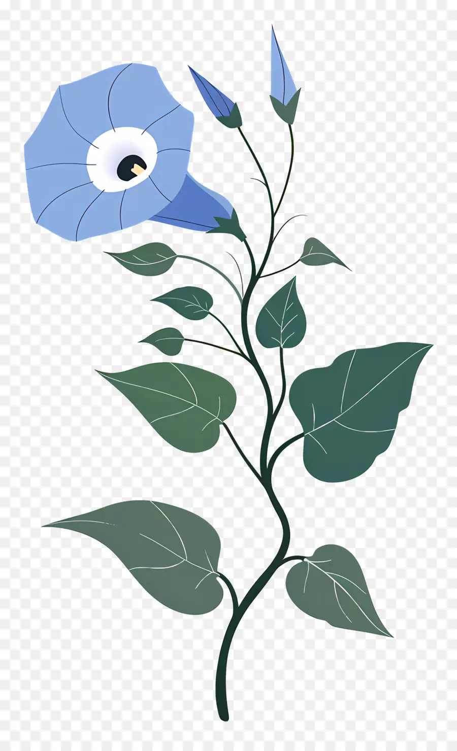 Gloria De La Mañana，Flor Azul PNG