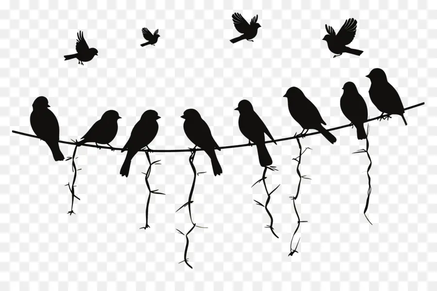 Pájaros Sentados En Un Cable，Aves PNG
