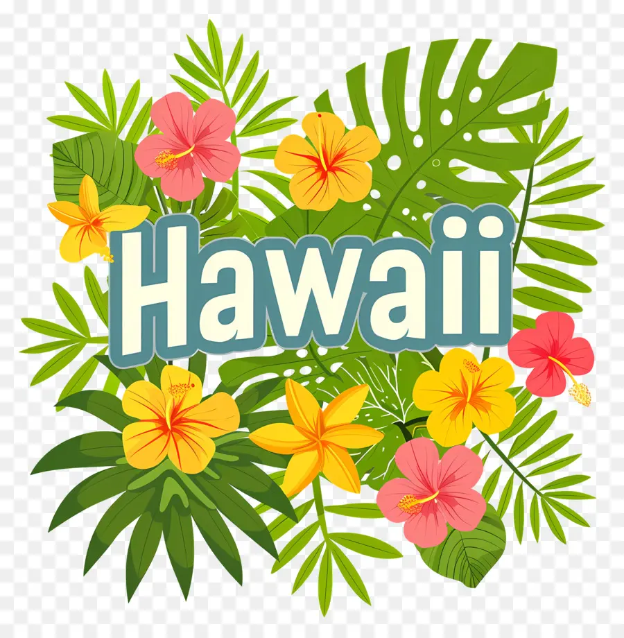 Hawai，Flor PNG