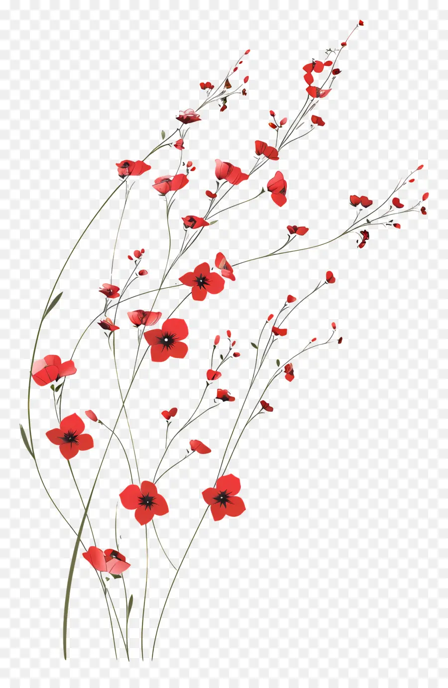 Las Flores De Color Rojo，Flores De Amapola Roja PNG